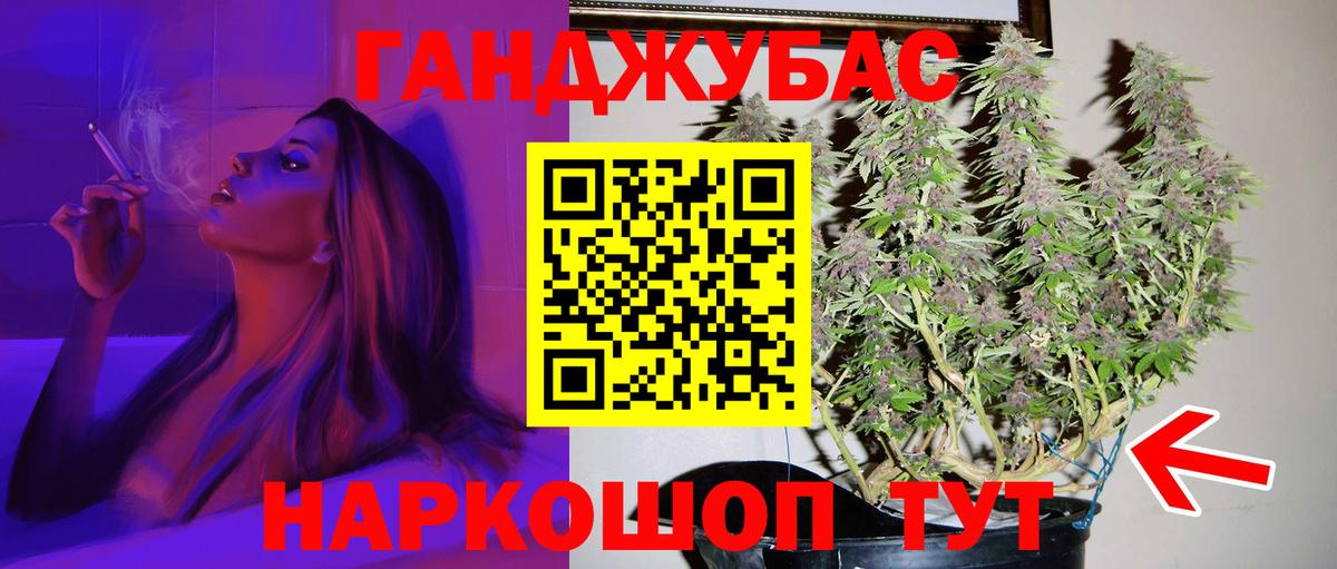 Бошки Шишки план Дивногорск